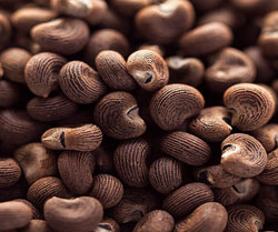 Kasturi bhindi / Abelmoschus moschatus