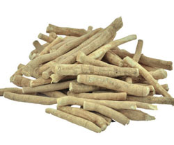 Ashwagandha / Withania somnifera