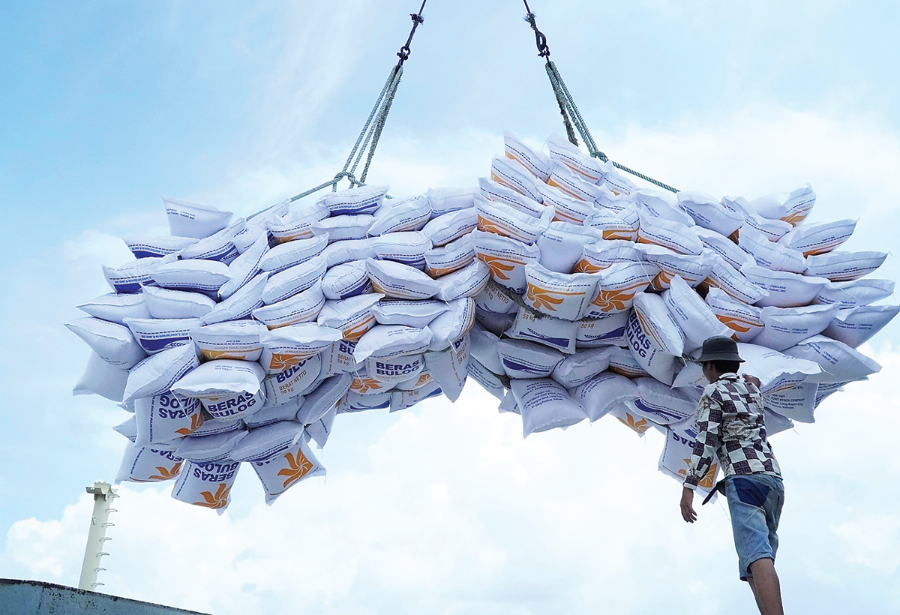 Việt Nam đã khẳng định vị thế của mình trên thị trường xuất khẩu gạo toàn cầu, vươn lên vị trí thứ hai thế giới về khối lượng xuất khẩu gạo.